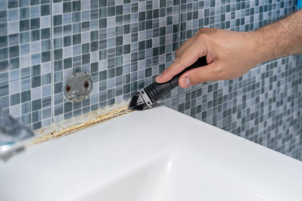 Best Mold Remediation  in Menahga, MN