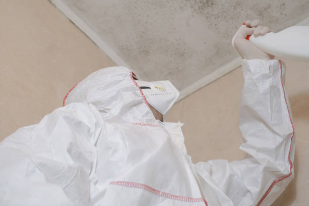 Best Mold Testing  in Menahga, MN