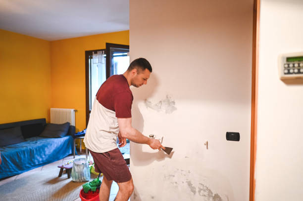 Best Certified Mold Removal  in Menahga, MN